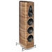 SONUS FABER OLYMPICA NOVA V